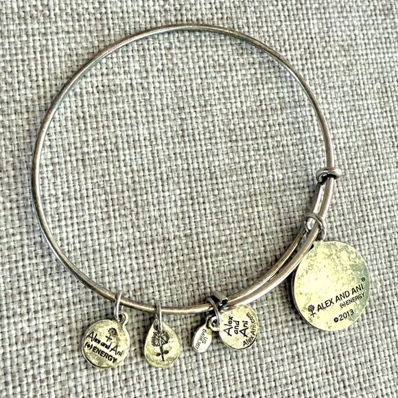 Alex and Ani Claddagh Silver Plated Copper Charm Bangle 2013 Energy Series - Picture 10 of 11